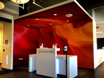 Vinyl Wall Graphics Photo